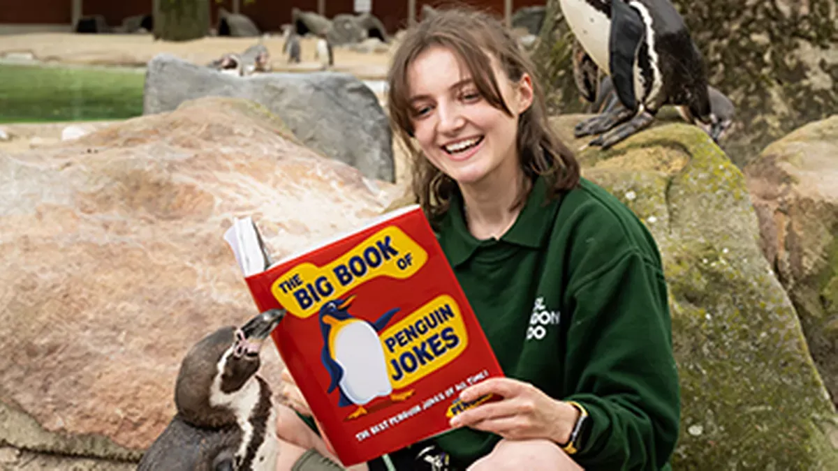 Penguin — Big Book of Penguin Jokes, image 3