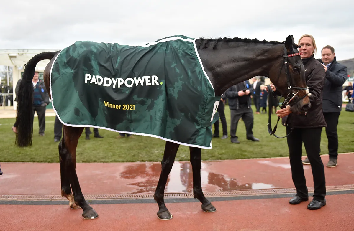 PP — Racing Branding, image 3