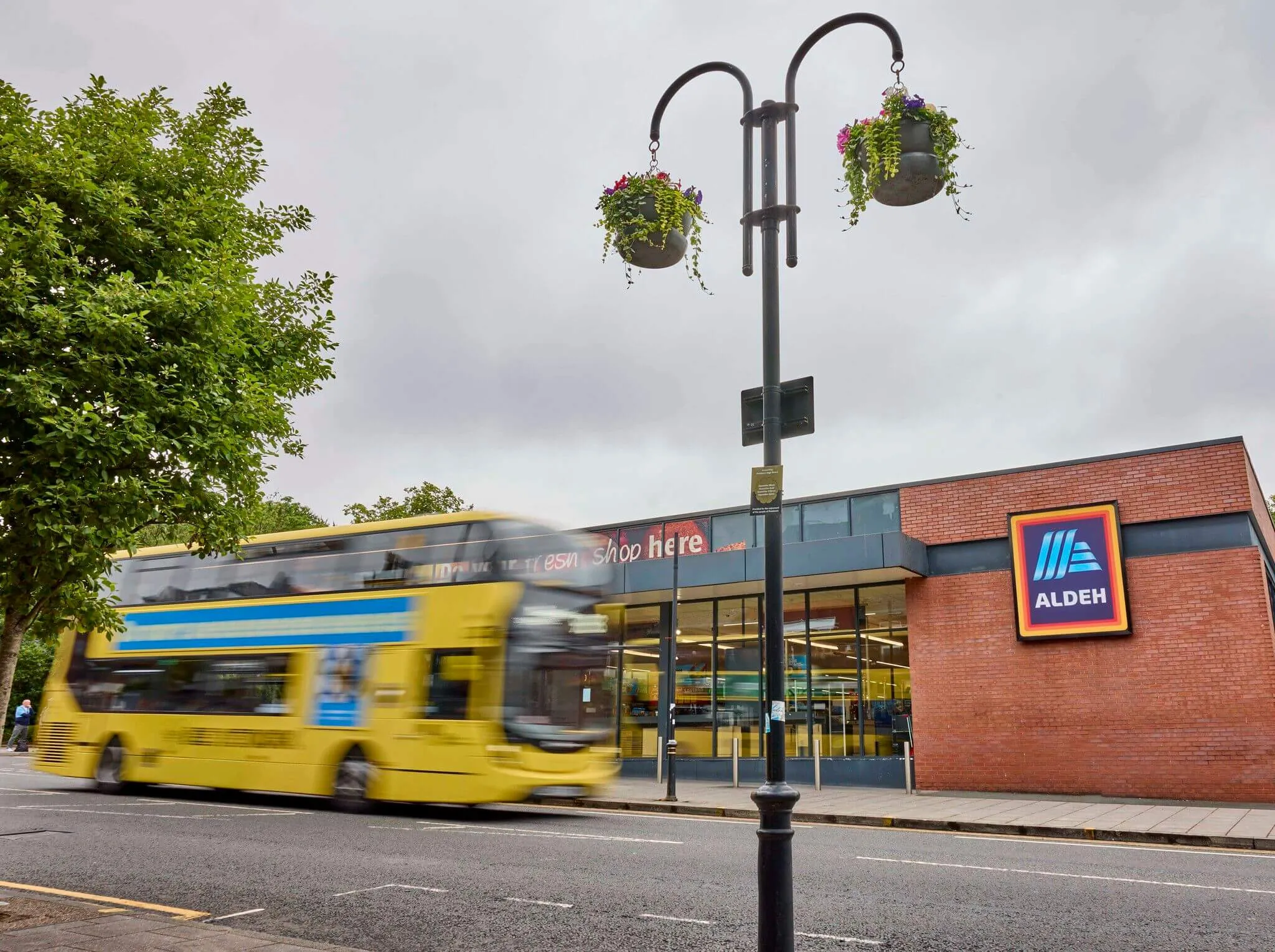 Aldi — Aldeh, image 2