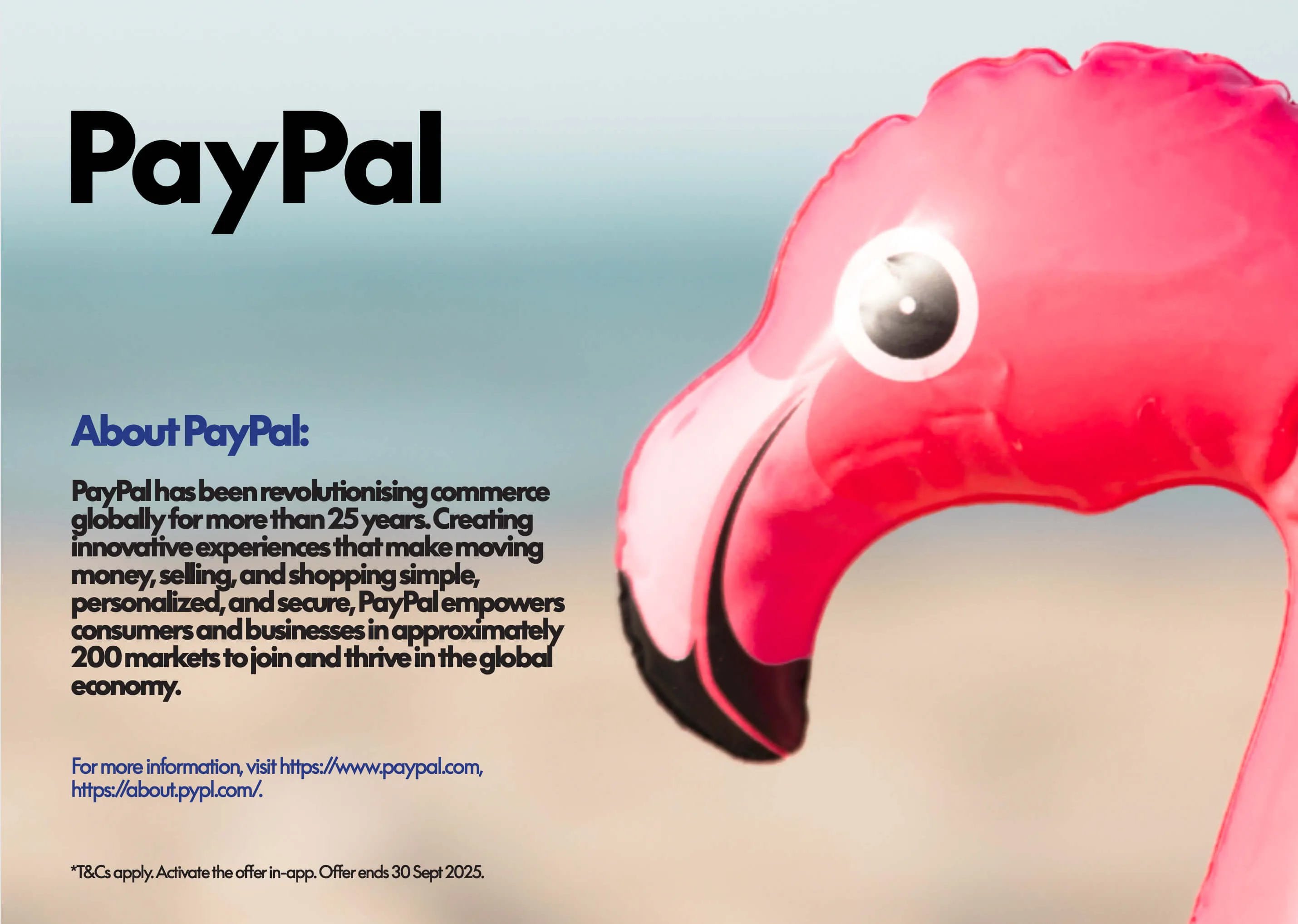 PayPal — deckchair