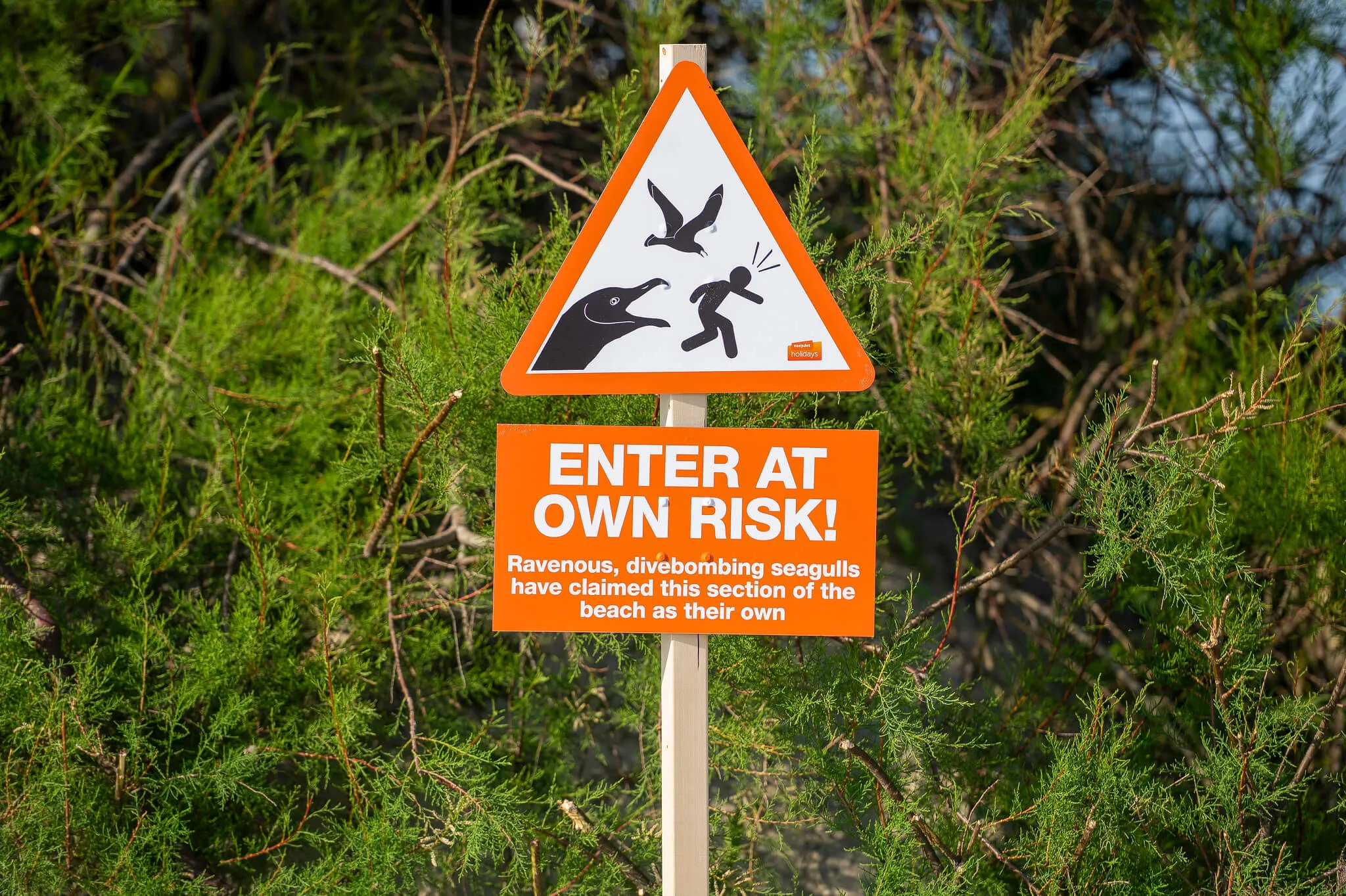 EasyJet Holidays — Nuisance signs, image 2