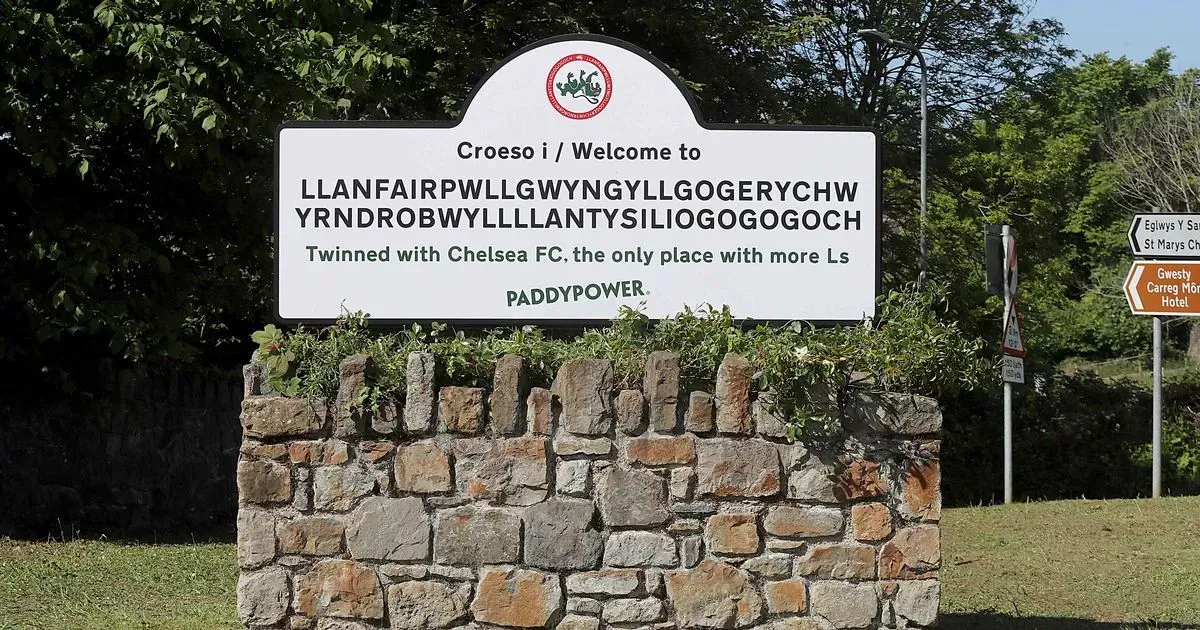 Paddy Power — Chelsea sign, image 2