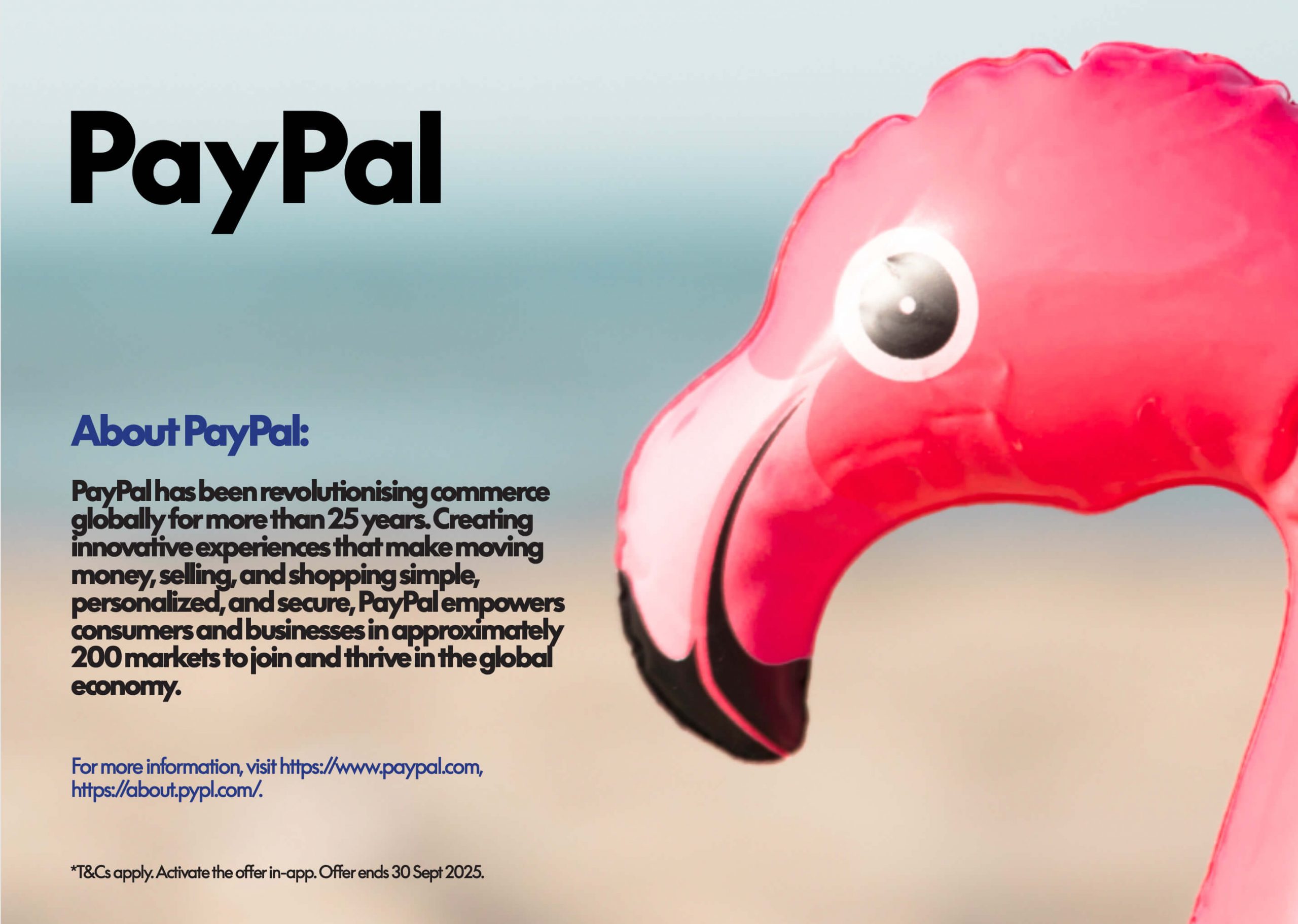 PayPal – deckchair